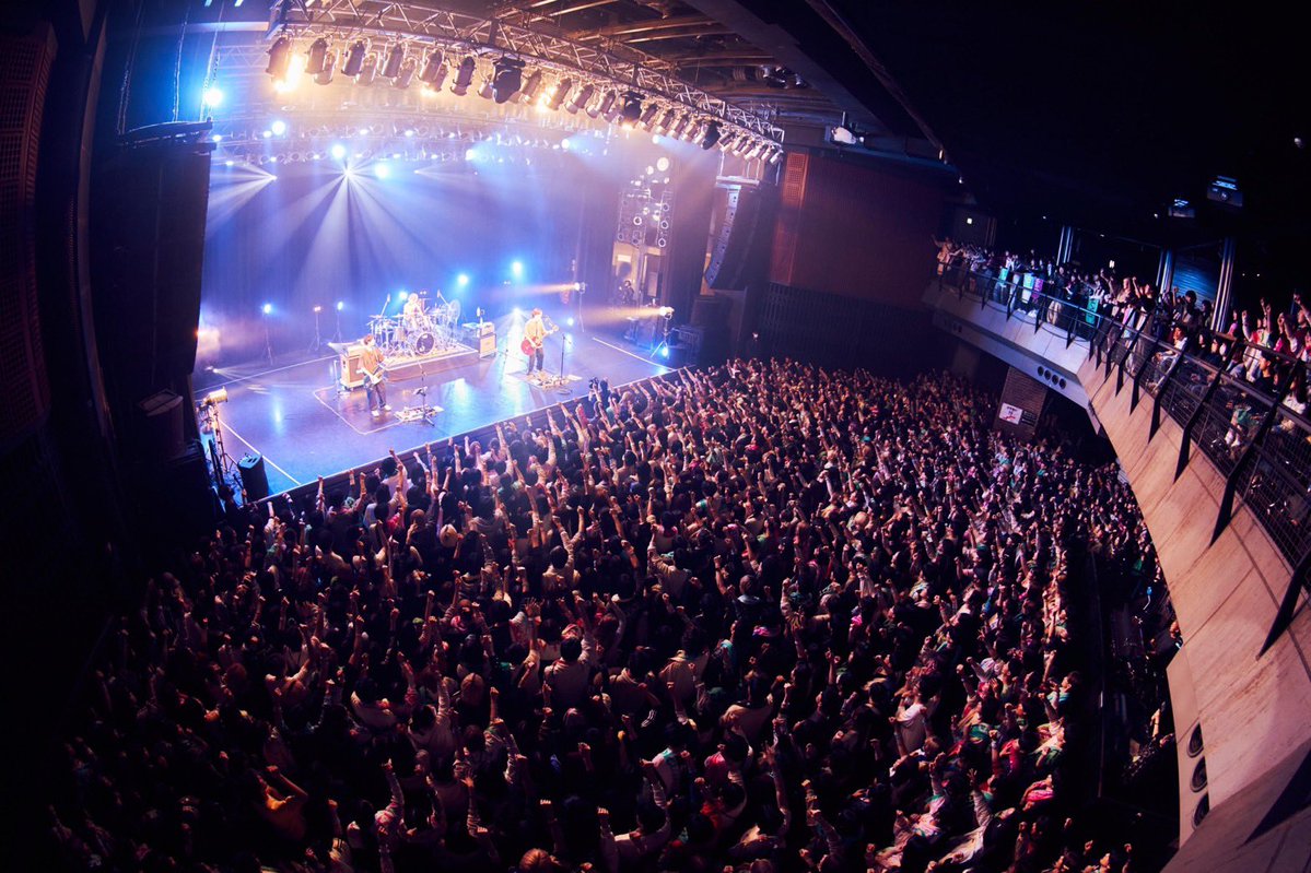 てる / This is LAST tweet media