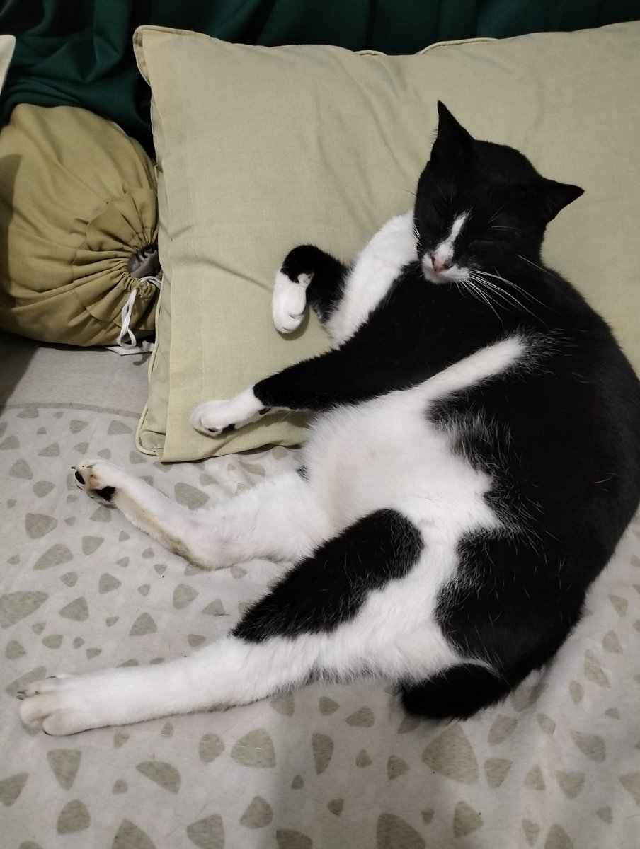 🇵🇸 ⊕★ティヤス★ ⊕ LC🦀🐟 tweet media