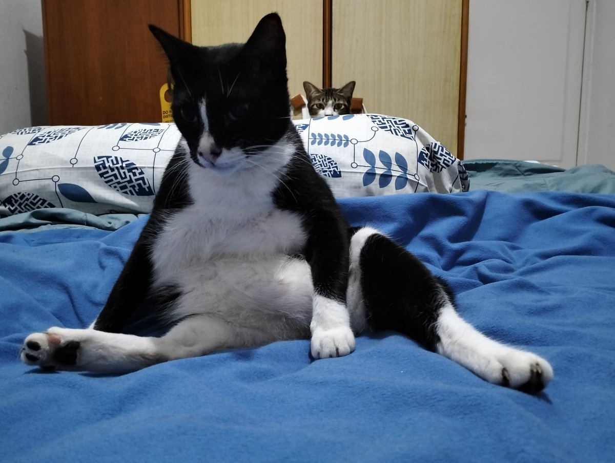 🇵🇸 ⊕★ティヤス★ ⊕ LC🦀🐟 tweet media