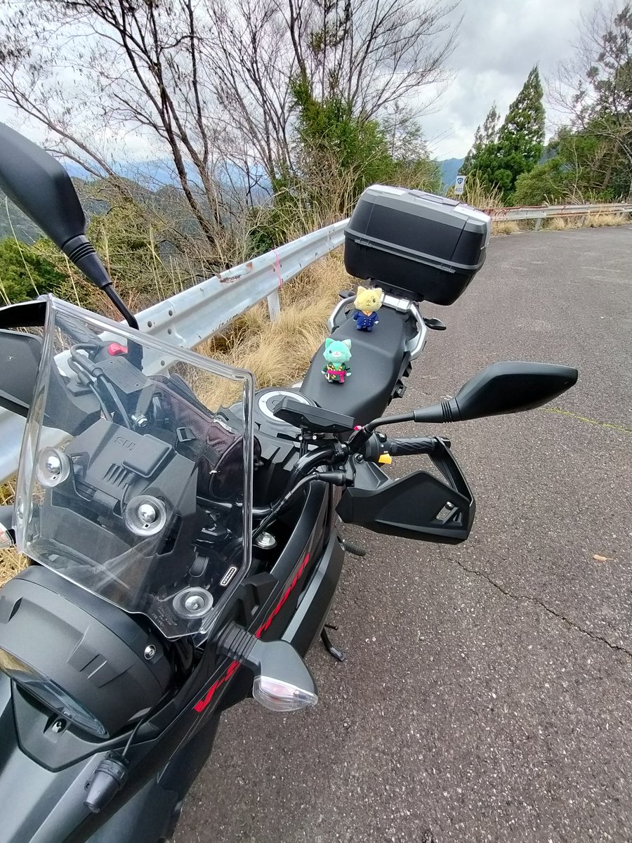 つつじ tweet media