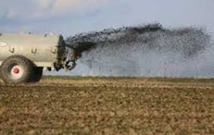 J. Pascual tweet media