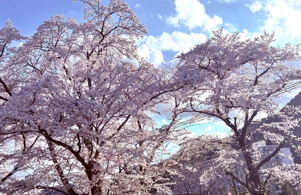 ゆうゆう@固定休(日祝)平日シフト制 tweet media