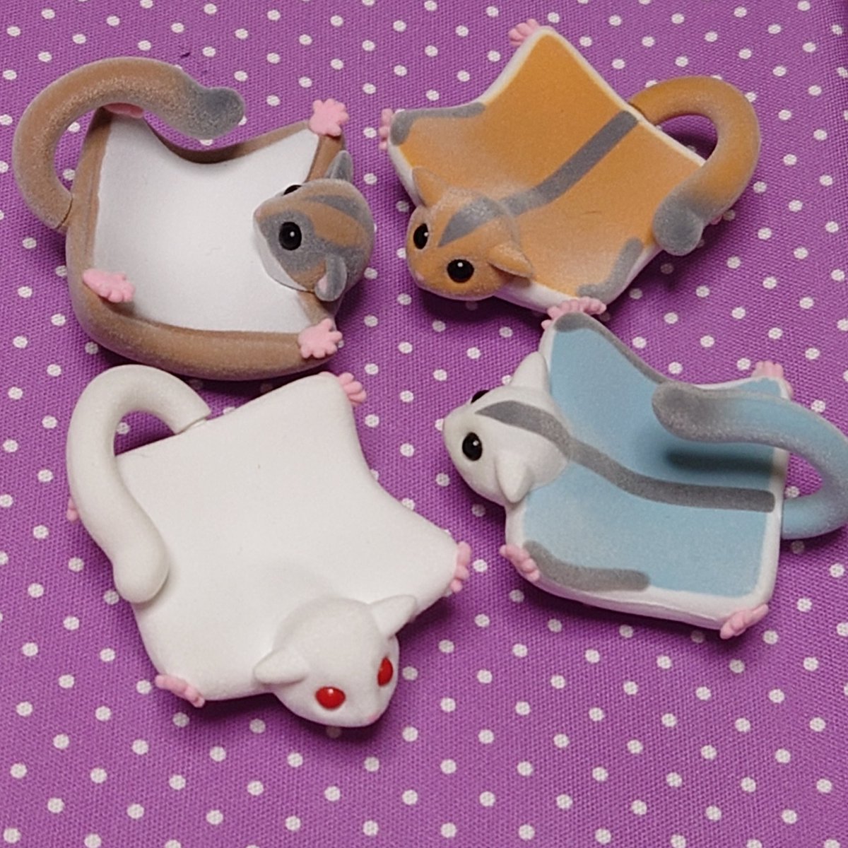 ちえ🐾Ilianthos🌻がま口🌻 tweet media