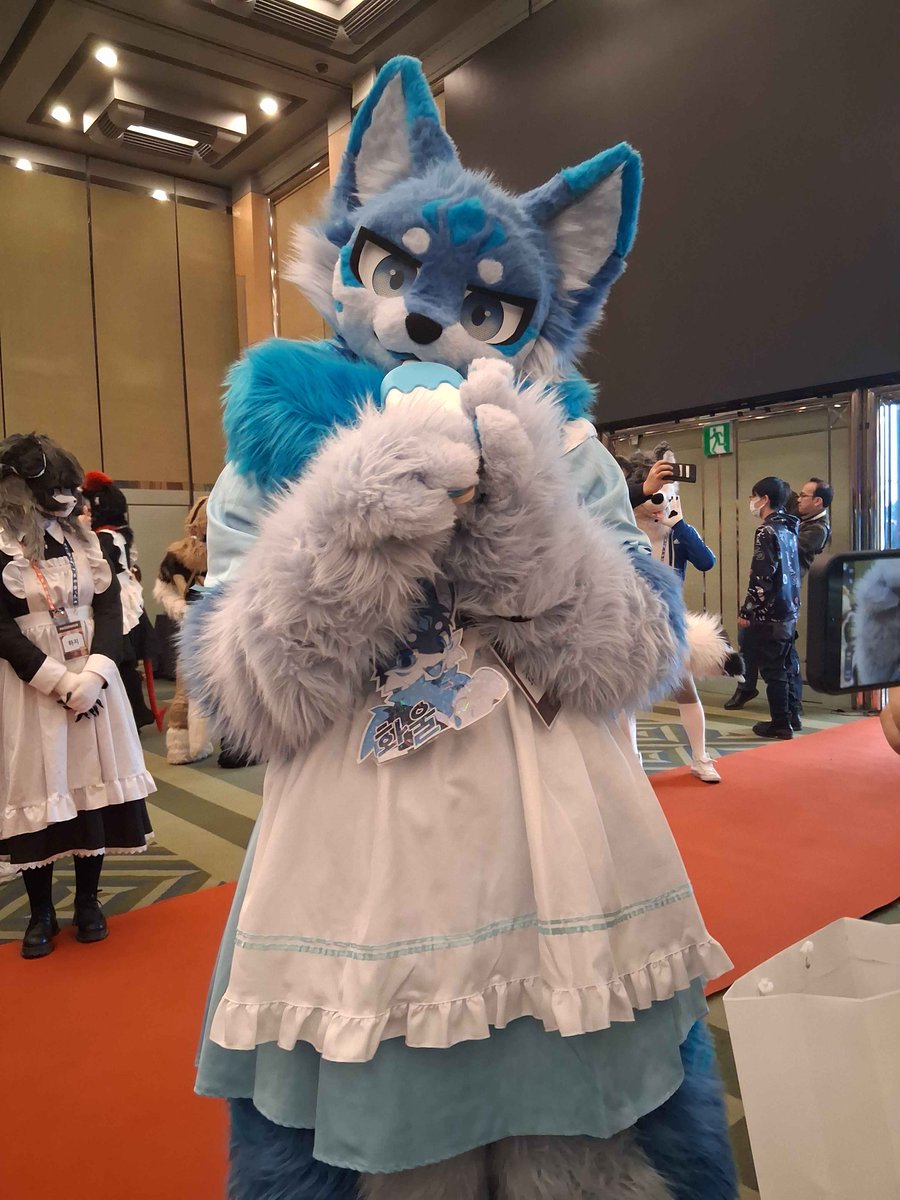 🐾화울(Whaul)🐾 tweet media