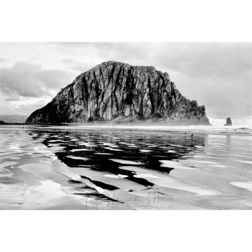 Toula Grayce Mavridou-Author & Photographer-No DMs tweet media