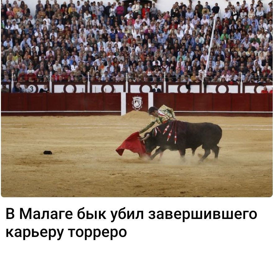 тот самый Птиц 🇮🇱 tweet media