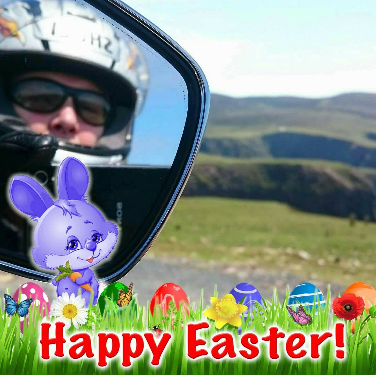 Jay Mates 🇮🇪💜🏍✈️🏍✈️🏍✈️ tweet media