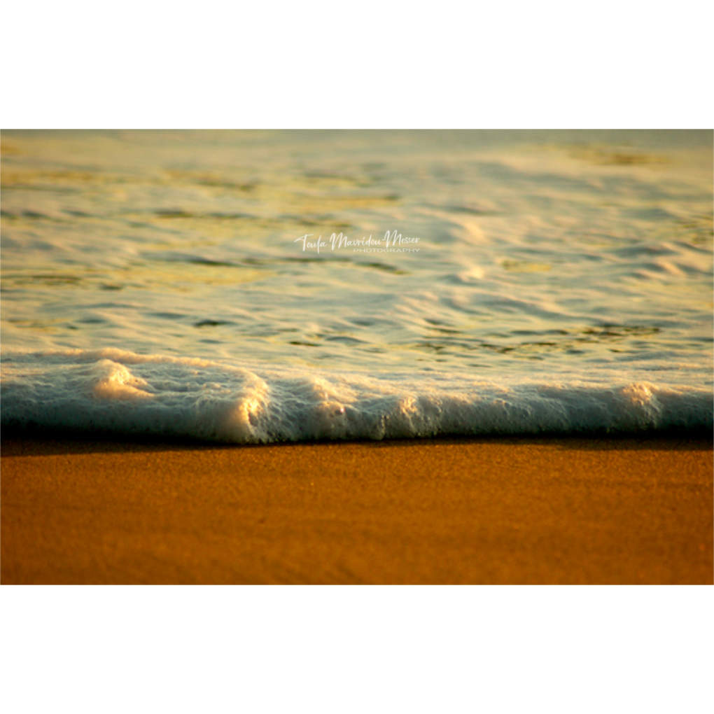 Toula Grayce Mavridou-Author & Photographer-No DMs tweet media