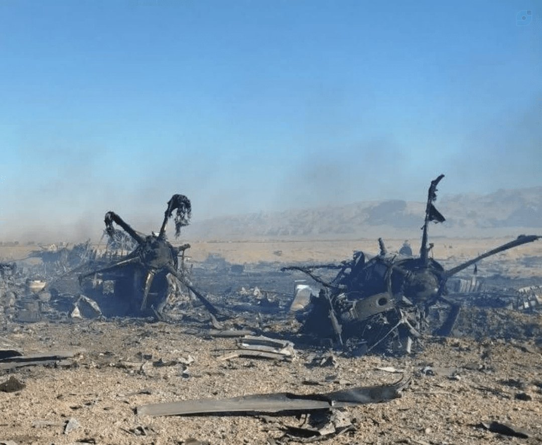 نیلوفر یاری tweet media