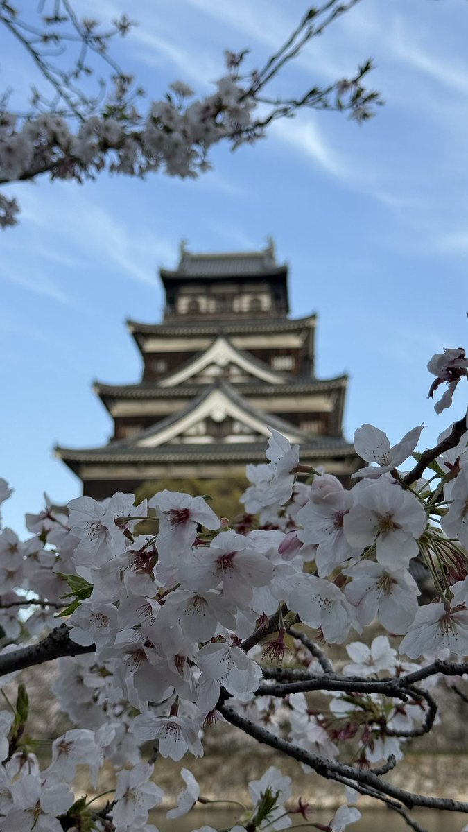 くろっぷ@🐝ゆるサポ tweet media