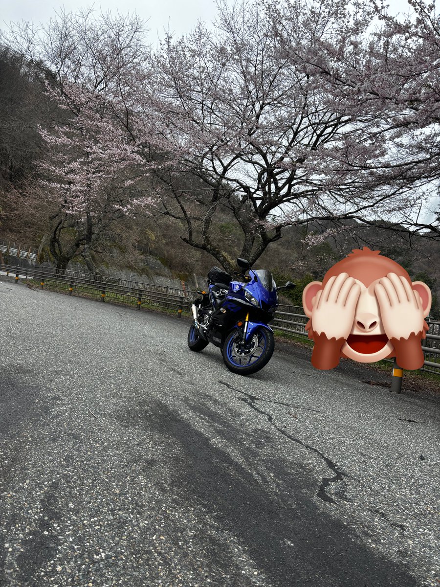 上腕二頭筋 tweet media