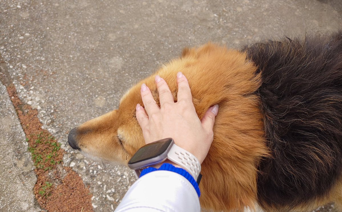 ふたば tweet media