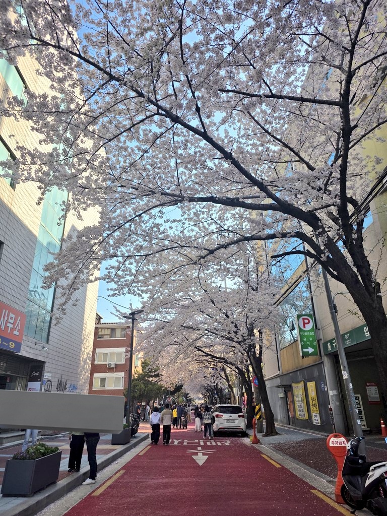 세탁소 tweet media