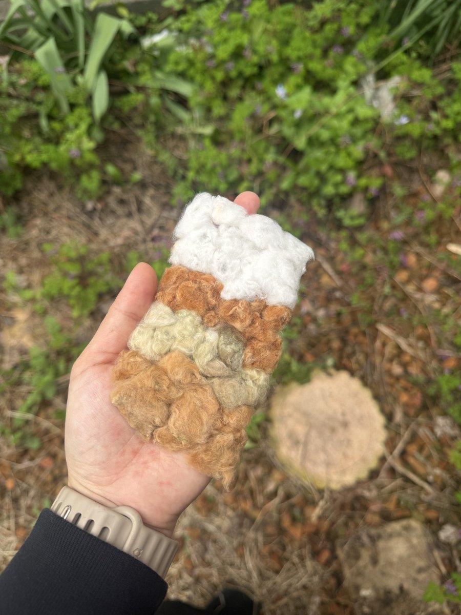 ミドリ tweet media