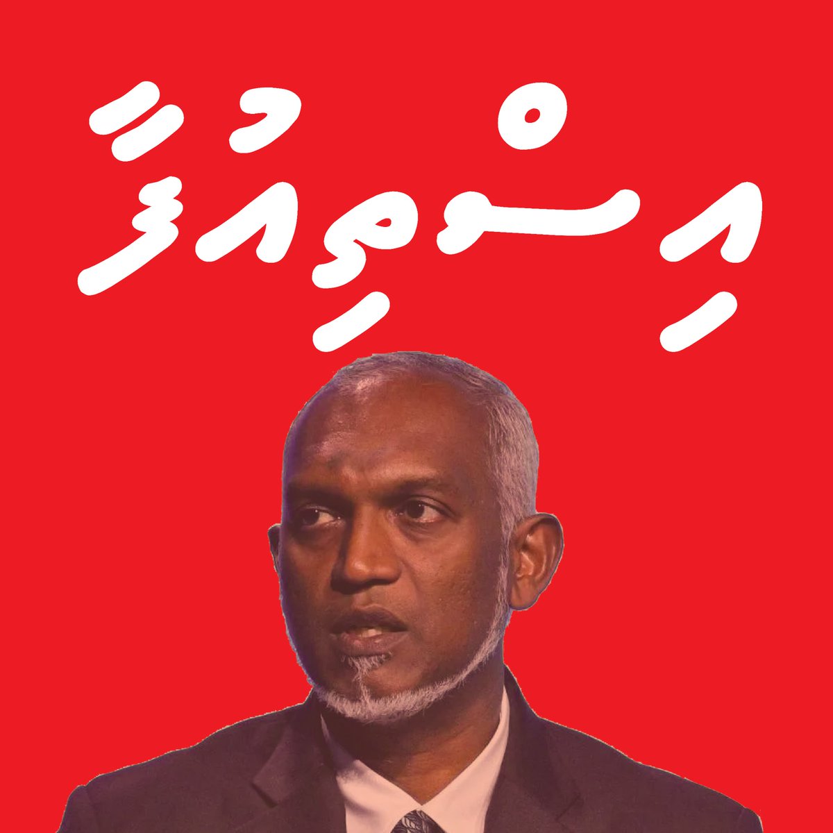 The DEMOCRATS -Supporters tweet media