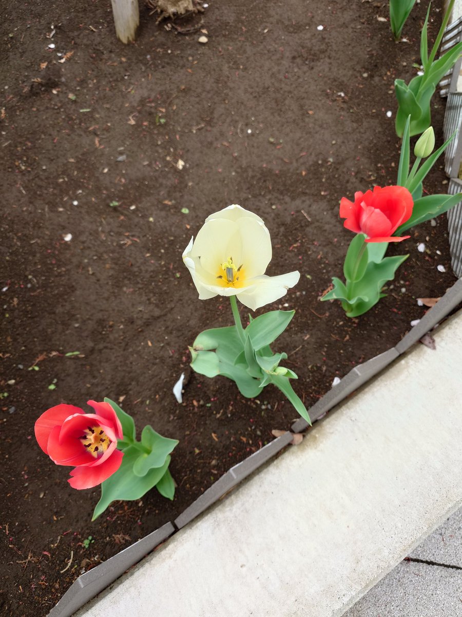 awm46🐲 tweet media