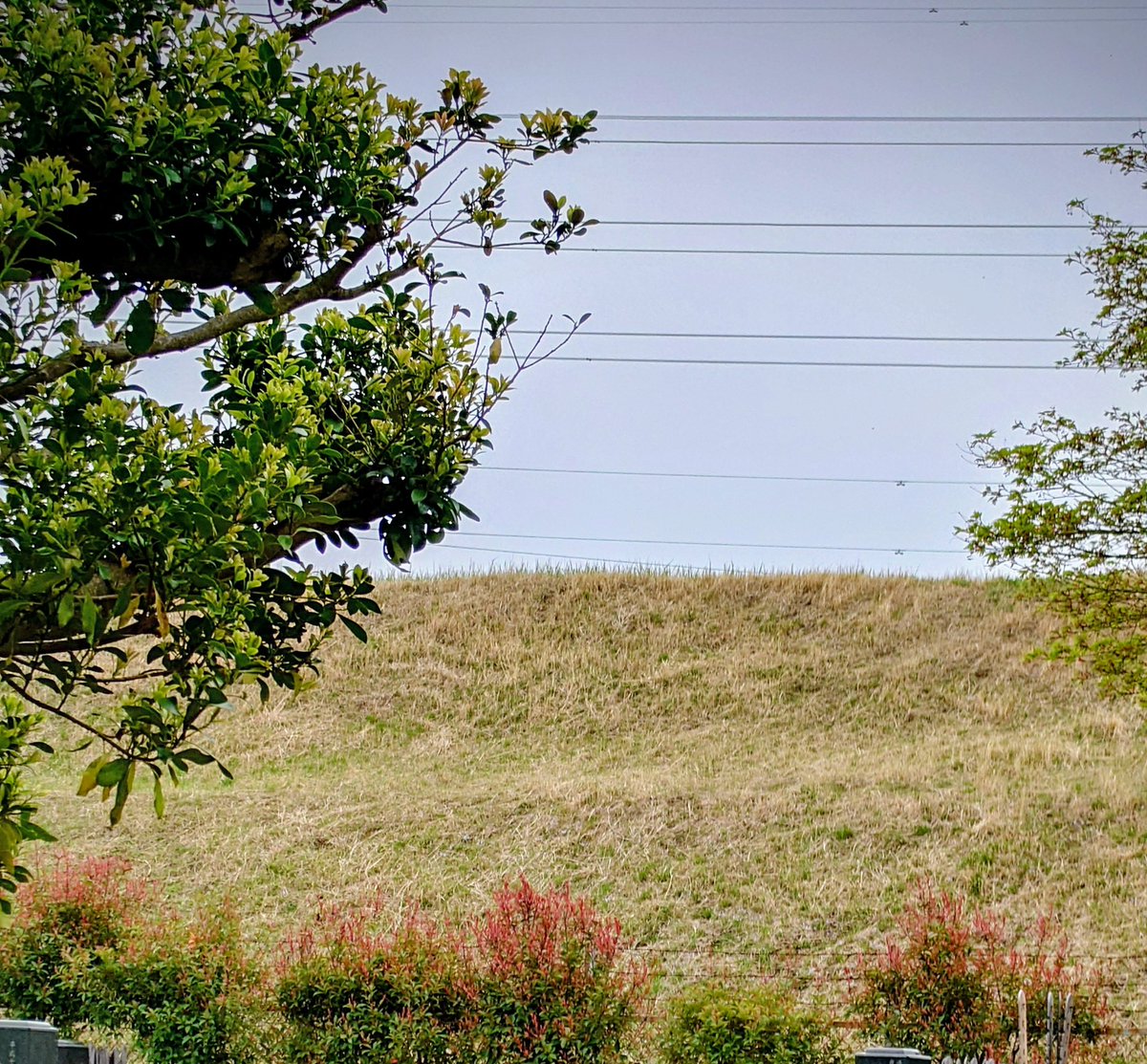 awm46🐲 tweet media