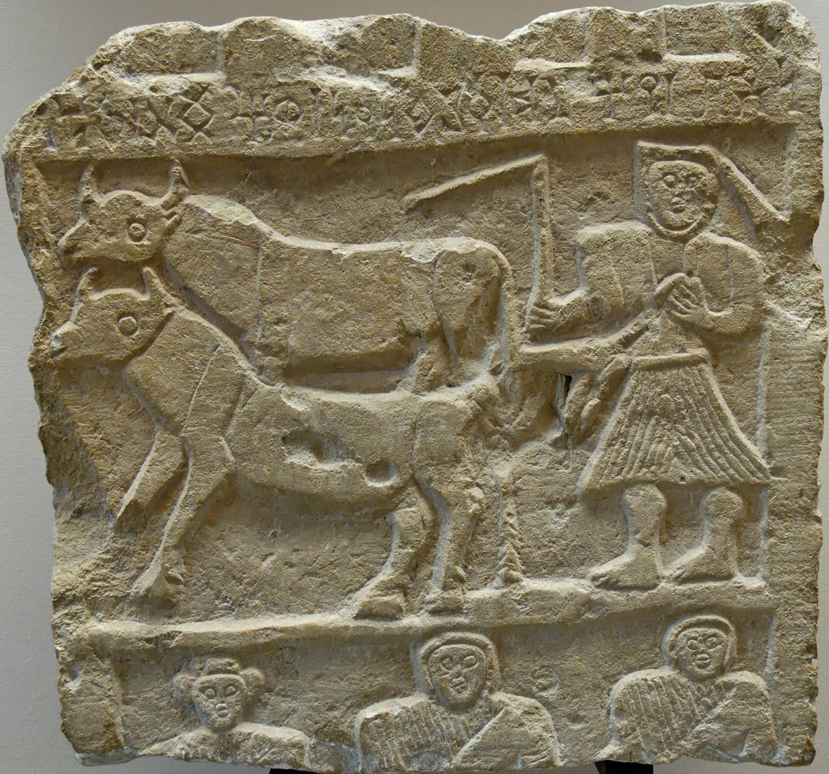 enohlate 🇩🇿 / Telkati tweet media