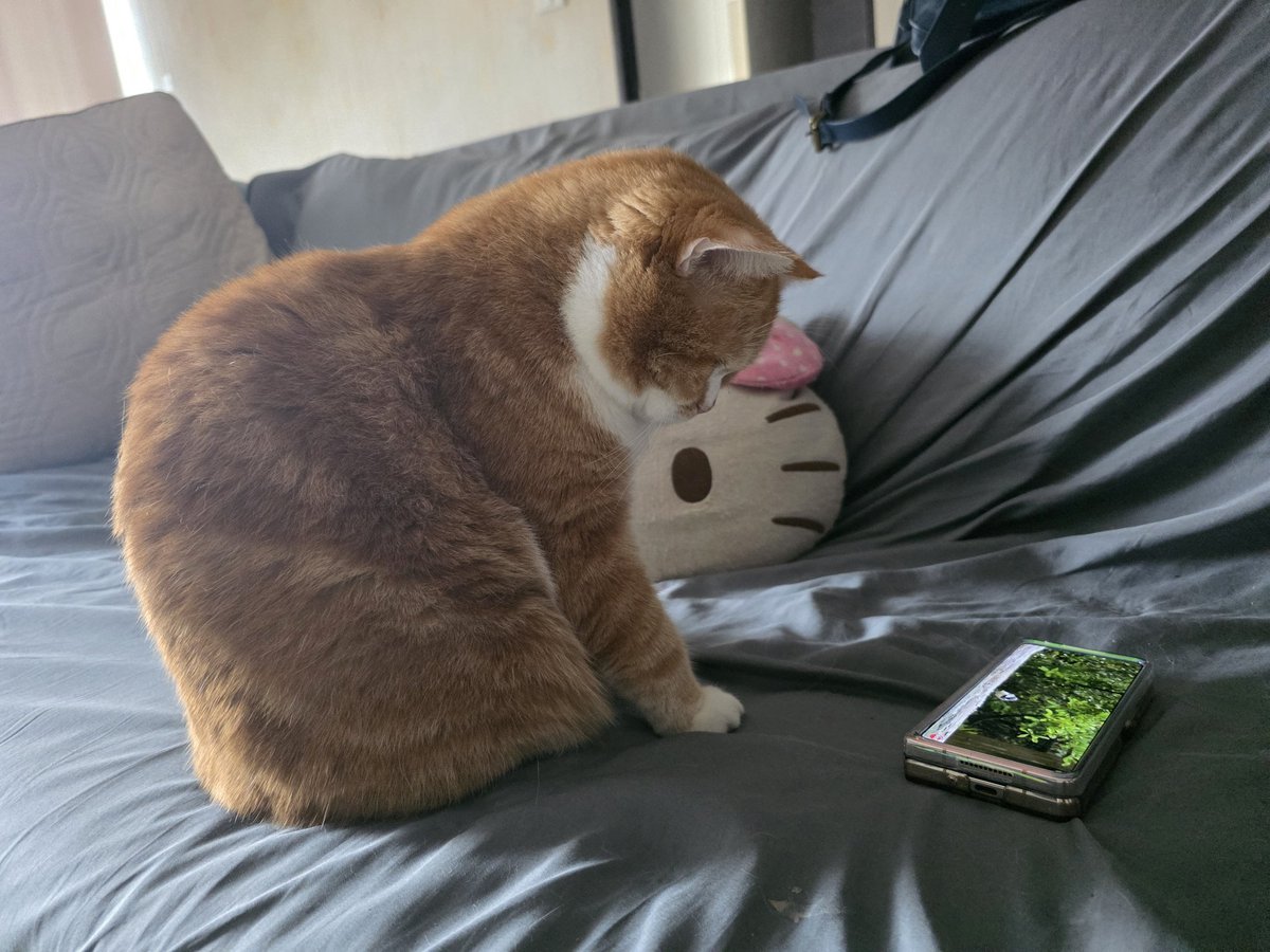 Thida7A ~♡ (รบกวนขอก่อนแคป) tweet media