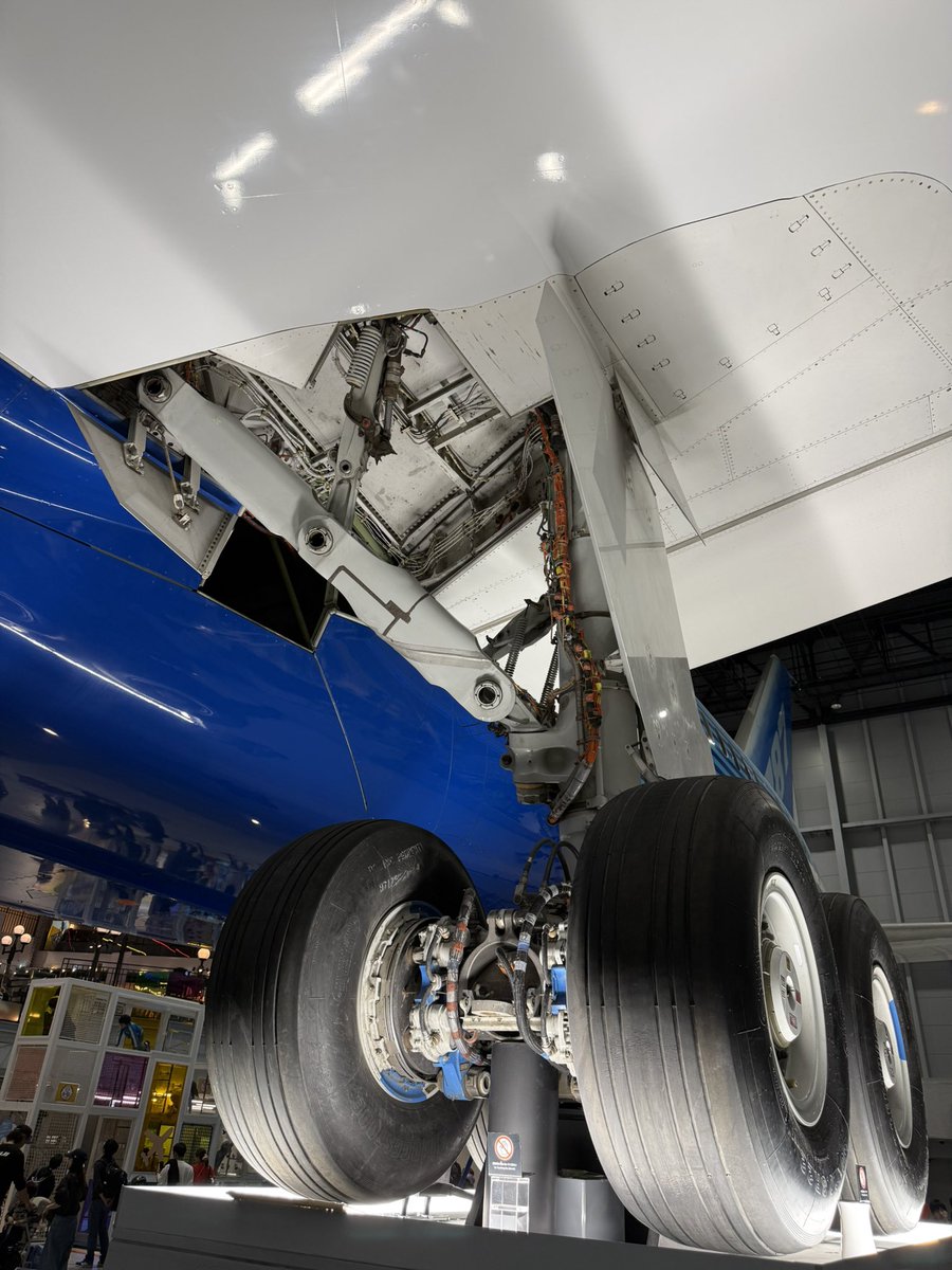 モリンジ（MORINJI） tweet media