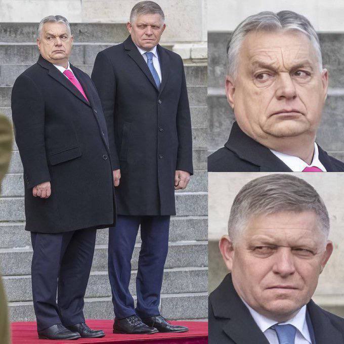 𝕽𝖎𝖘𝖙𝖔 𝕾𝖚𝖔𝖒𝖊𝖑𝖆 🇫🇮🇺🇦 tweet media