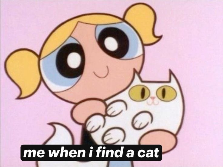 emma ˏˋ ₍𝄐⩌𝄐₎ ˎˊ˗ 🌈 tweet media