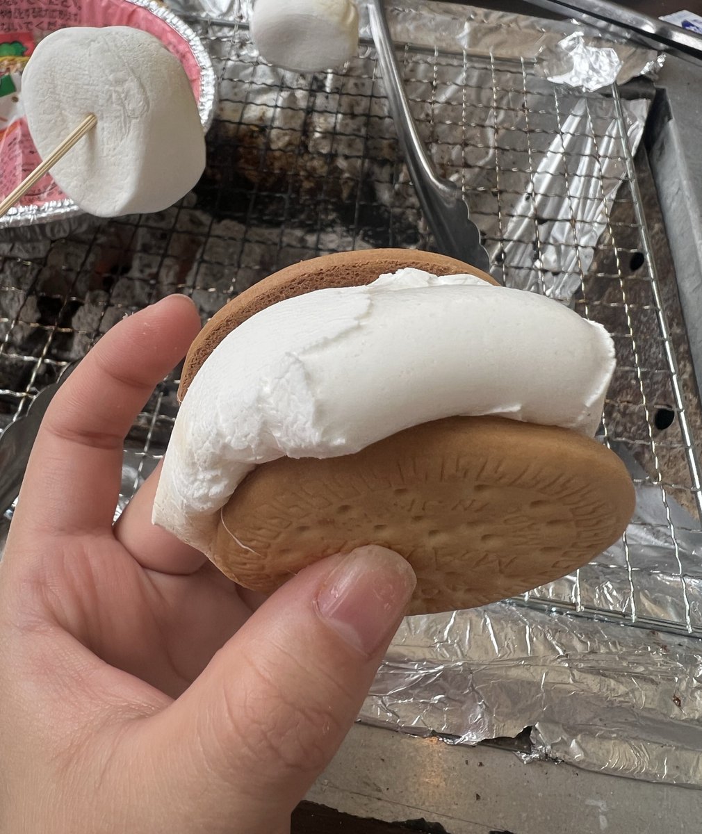 ぴっぴ。 tweet media