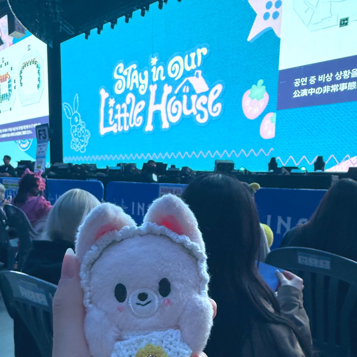 pp⭐︎･:**･*:.｡ tweet media