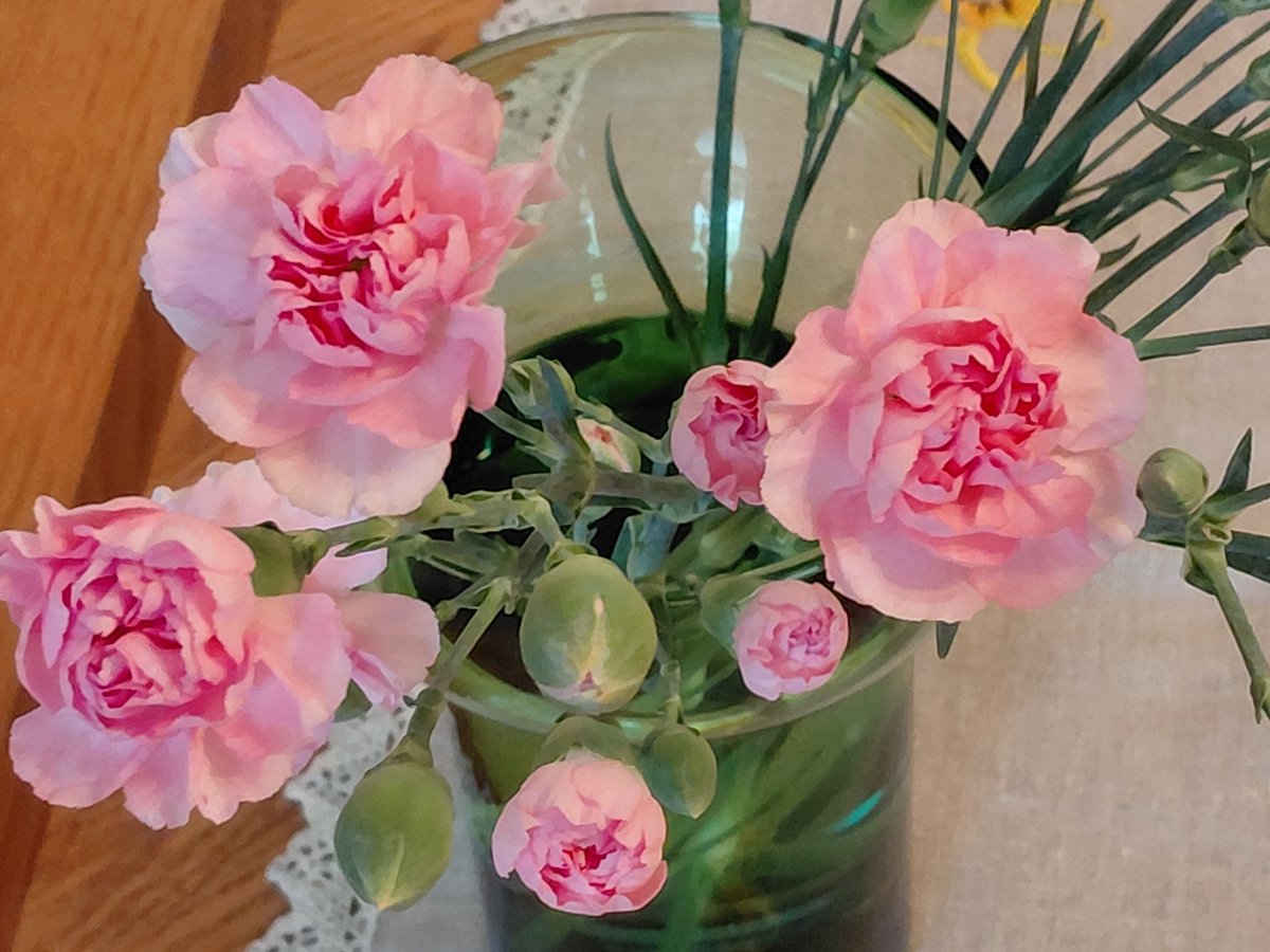 MA_Laatikainen's tweet image. All is ready
for the
restless
human being
to grow and flower,
to enjoy and be happy.
#peaceful #life at a #sanctuary