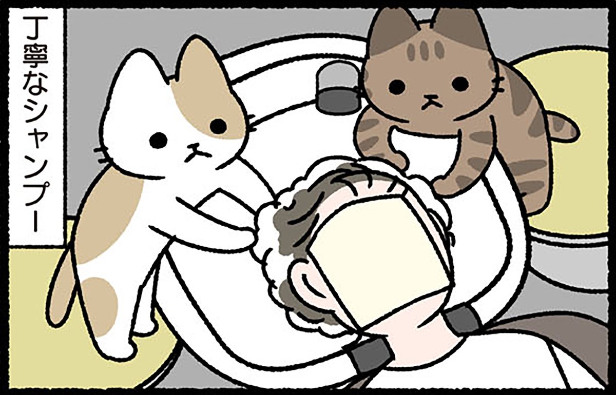 本日、4月5日は「#ヘアカットの日」です。
#ぱんだにあ 先生の『#ねこのおしごと』には、ねこの美容師さんが登場します。
コミックスのご購入はこちら︎︎︎︎︎︎︎︎︎︎︎︎︎▶︎https://t.co/uFBKaPJUHl 