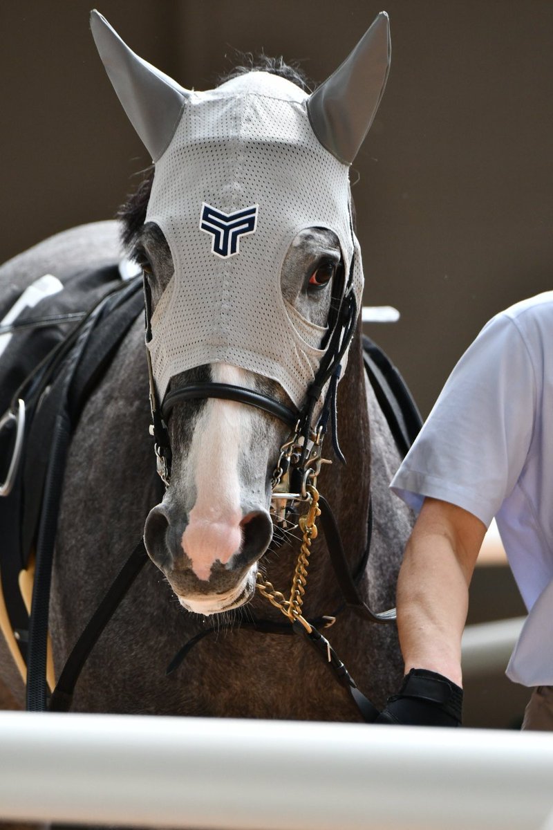 あき🐎=3=3 tweet media