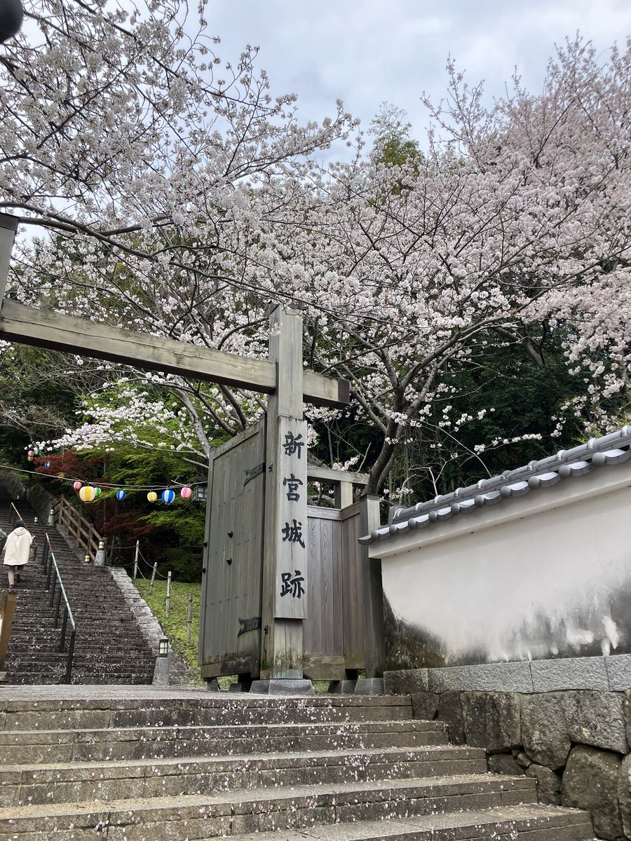 前田兄弟 tweet media