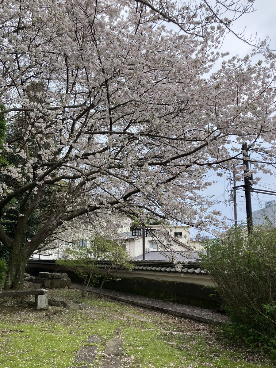 前田兄弟 tweet media