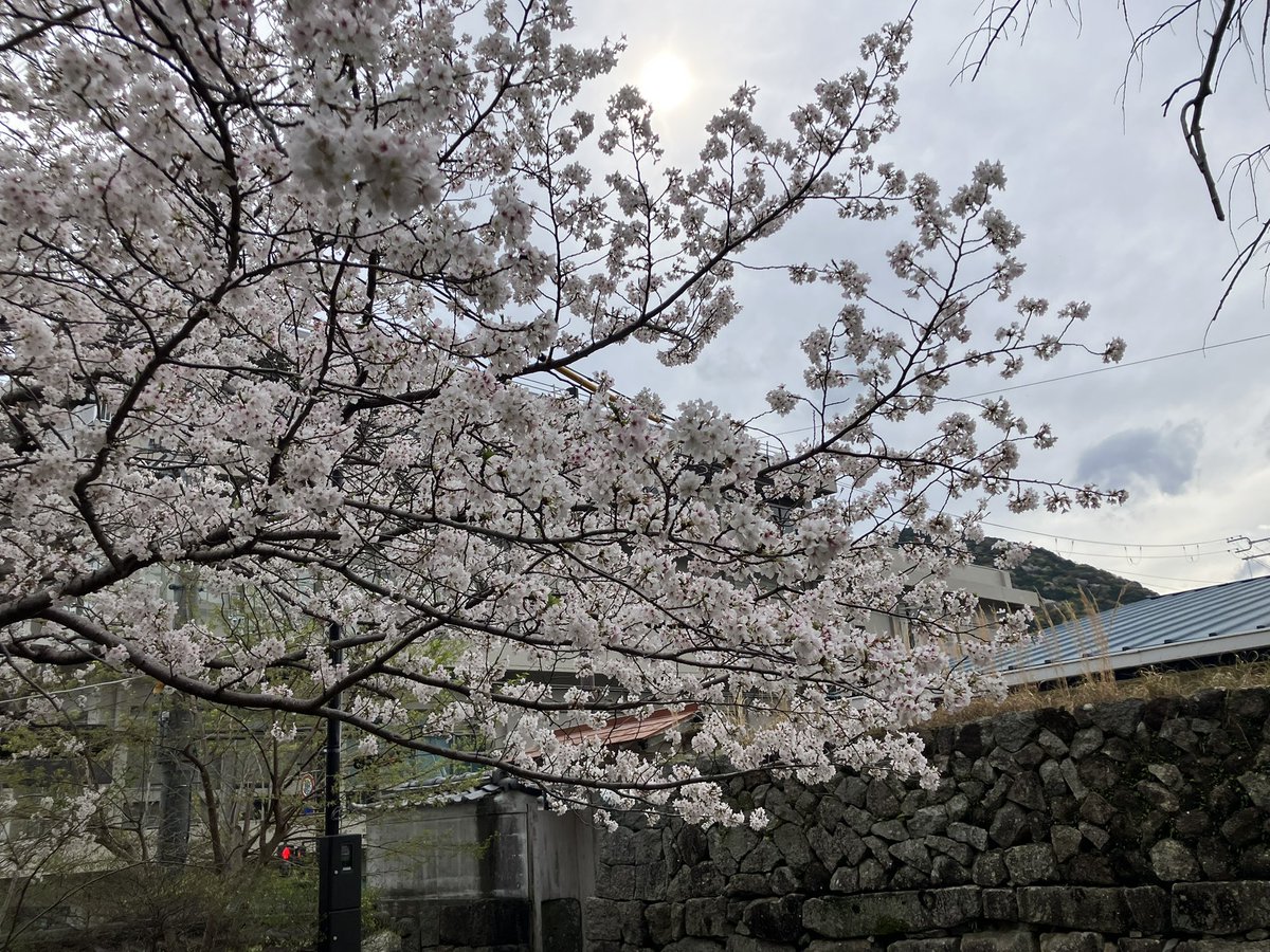 前田兄弟 tweet media