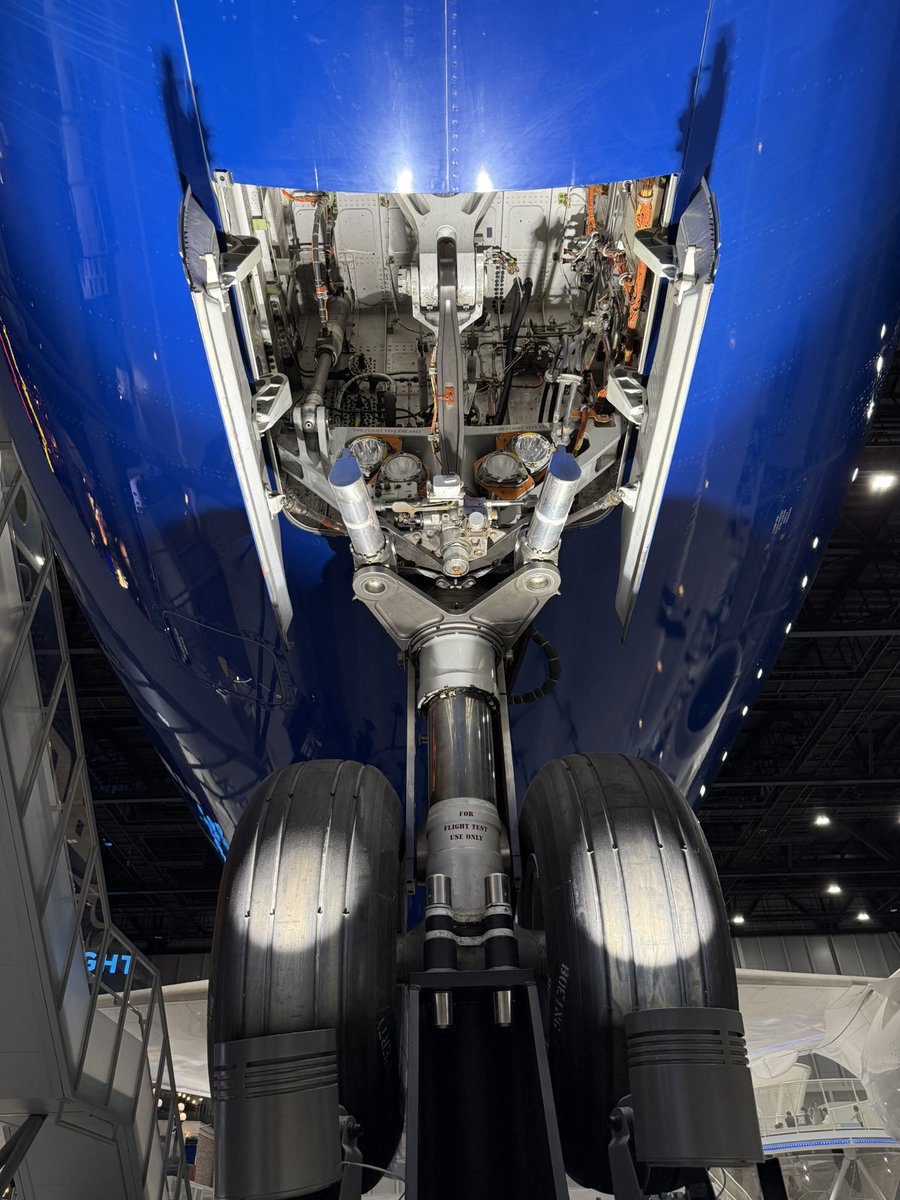 モリンジ（MORINJI） tweet media