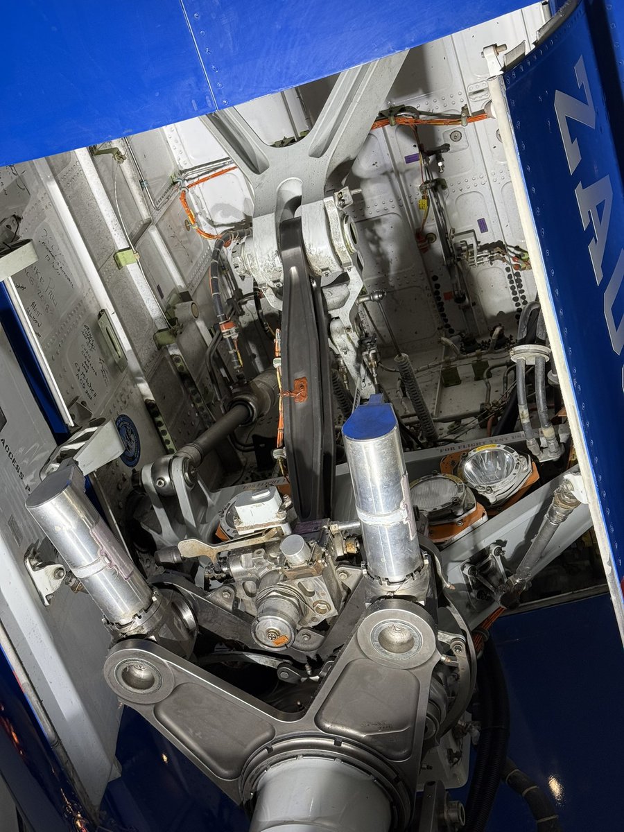 モリンジ（MORINJI） tweet media