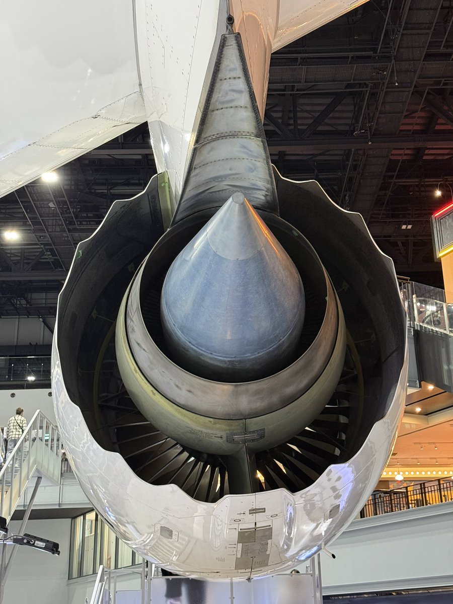 モリンジ（MORINJI） tweet media