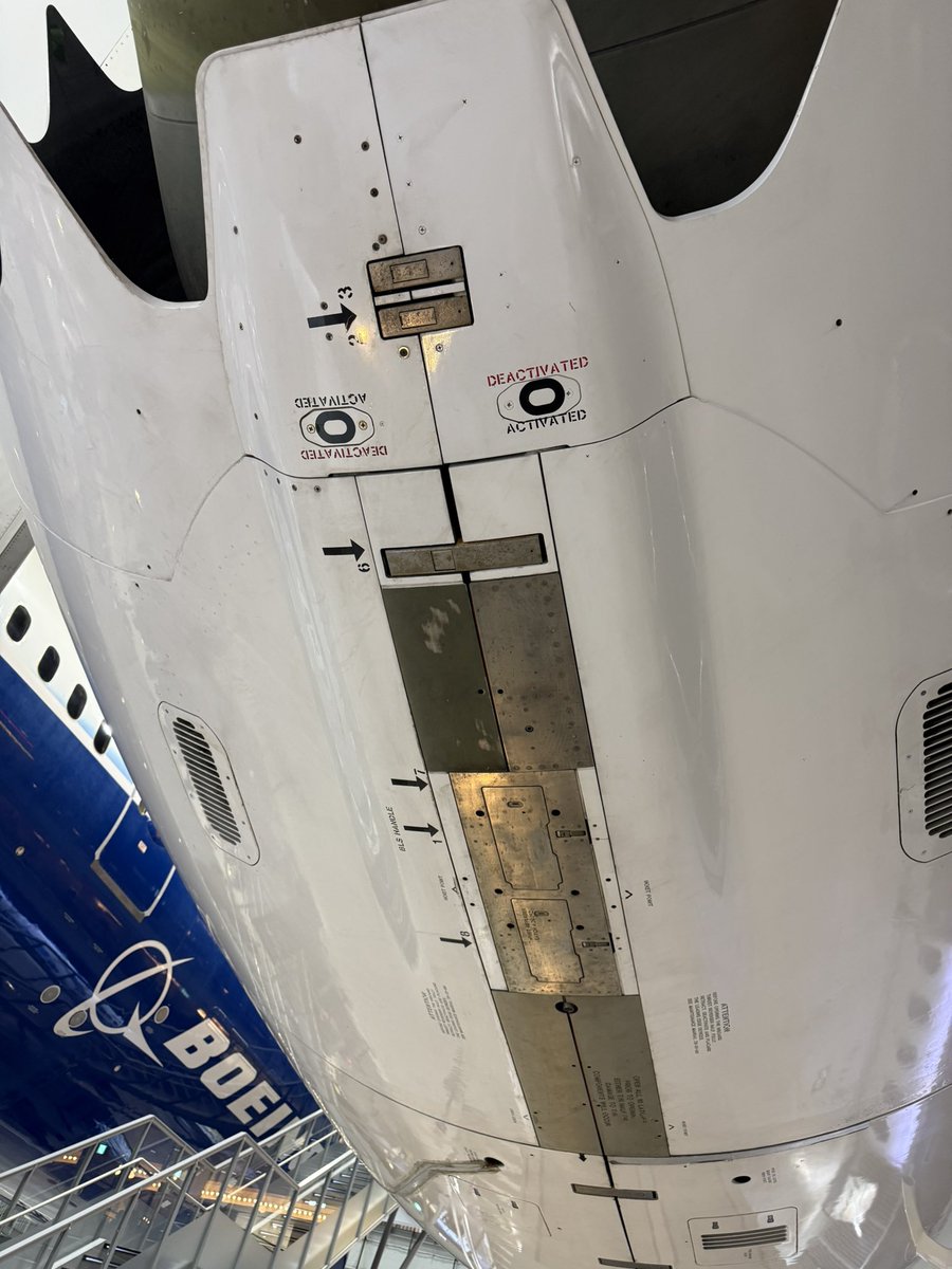 モリンジ（MORINJI） tweet media