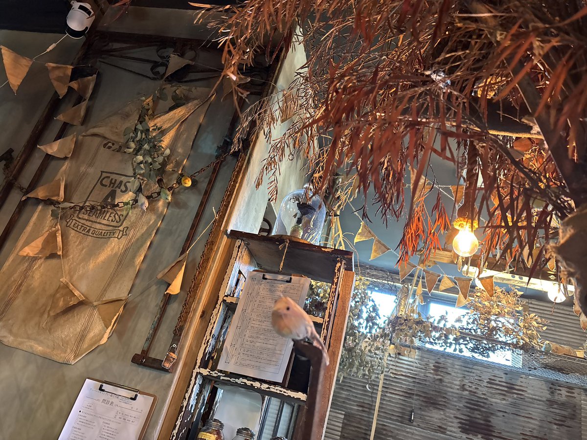 ブブゼラ"幻影" tweet media