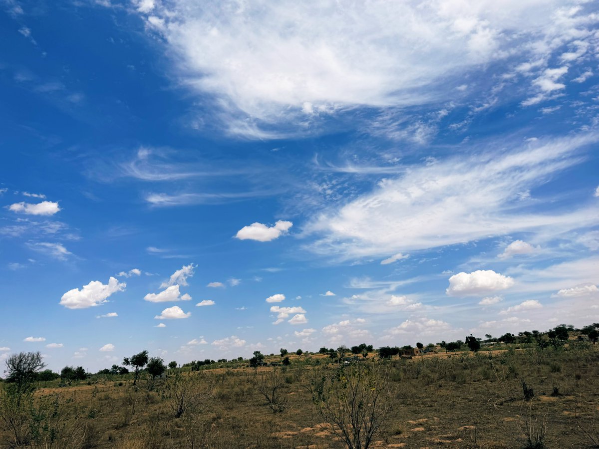 मरू री मरवण🏜️ tweet media