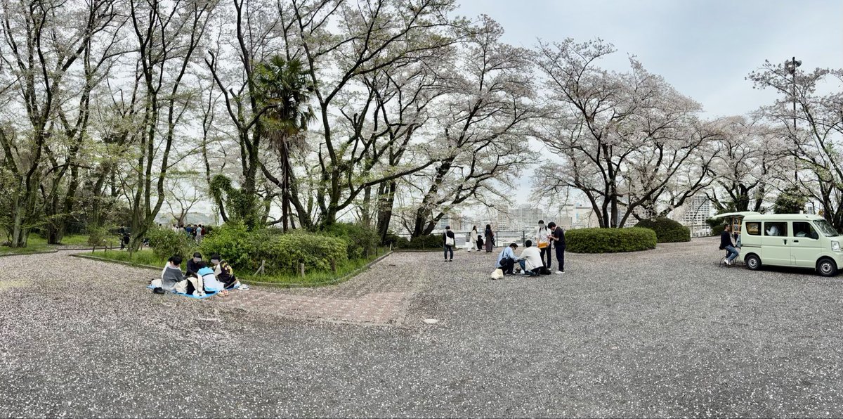 棚からチョコ餅 /しそ tweet media