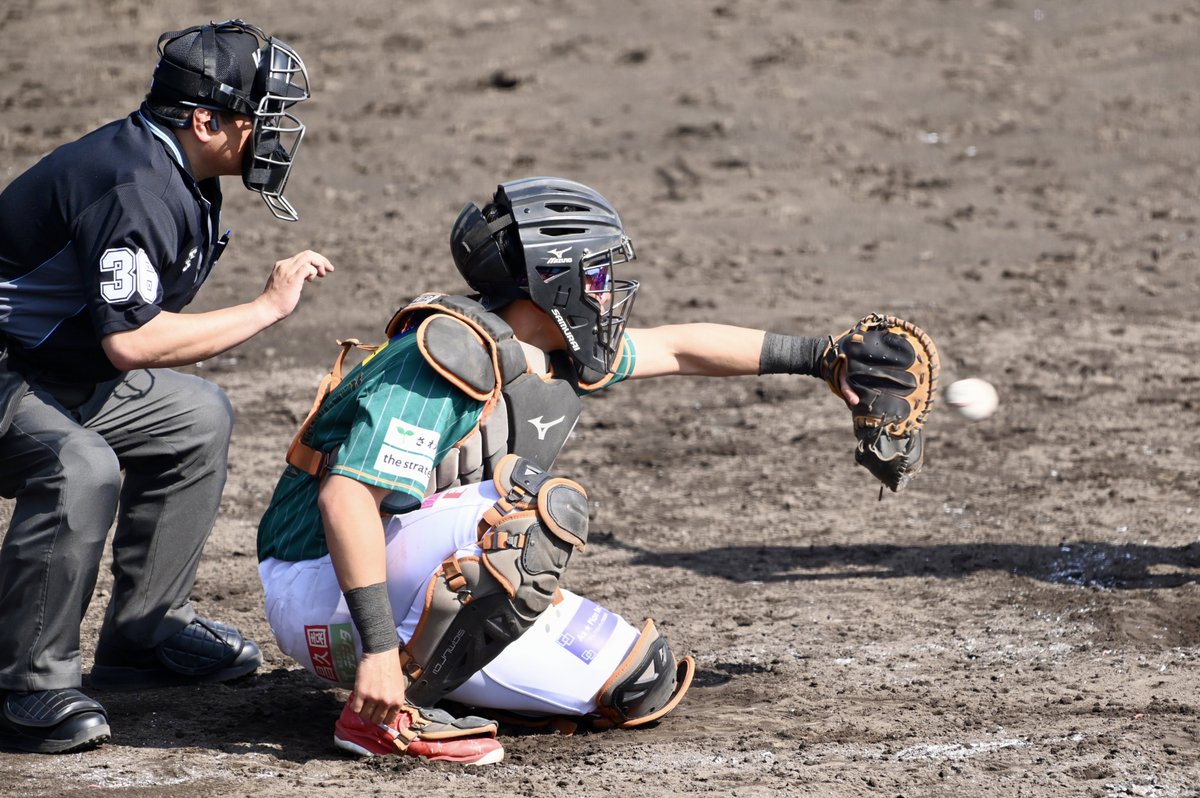 はるすけ tweet media