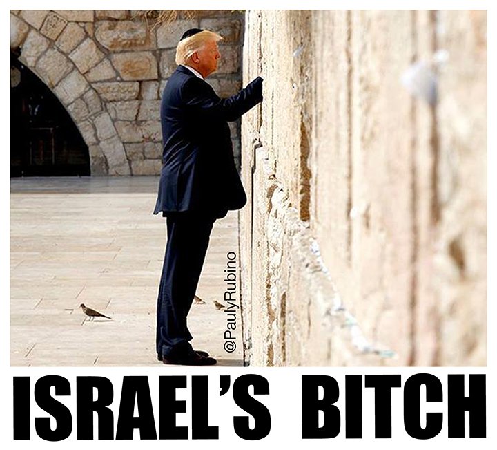 My Cat Is Anti-Israel tweet media