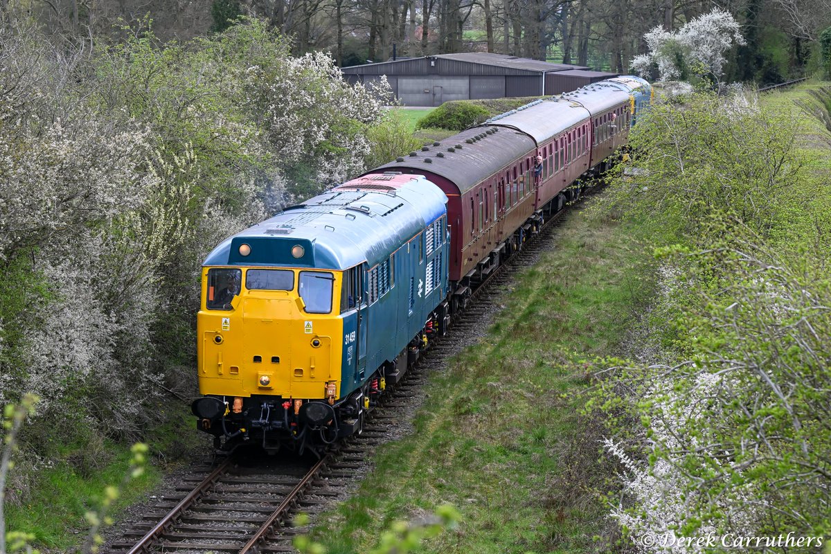 carru12901's tweet photo. A bit late but I've finally got around to posting my pictures of Brush type 2 number 31459 at the Battlefield Line on Good Friday 3rd April 2026. #class31 #Battlefieldline https://t.co/q3mTW5OffO