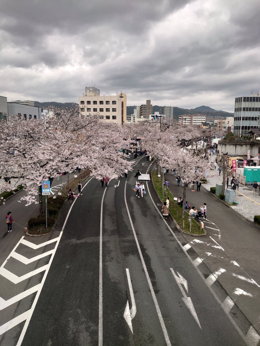 👑CR0WN👑 tweet media