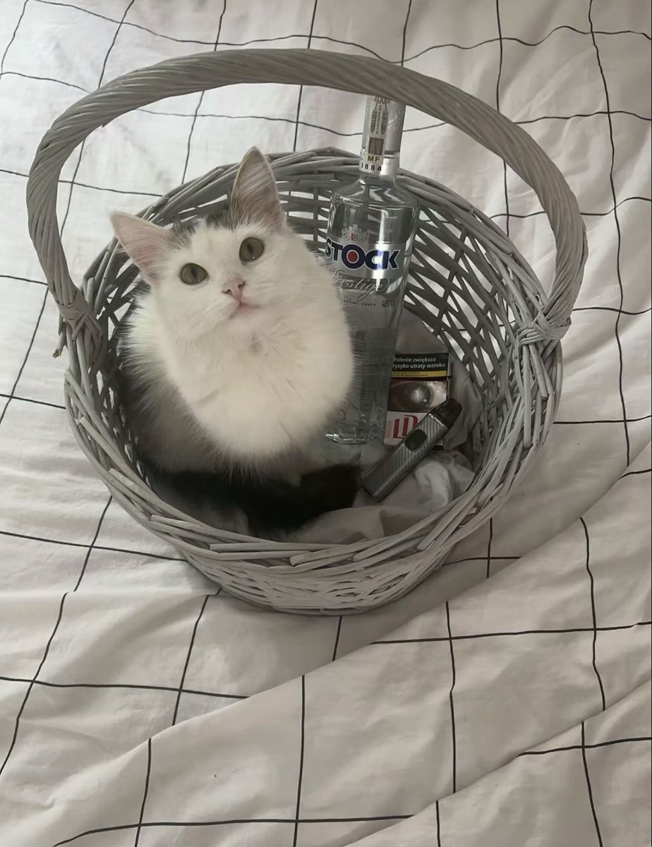 dr hab. Blacharz tweet media