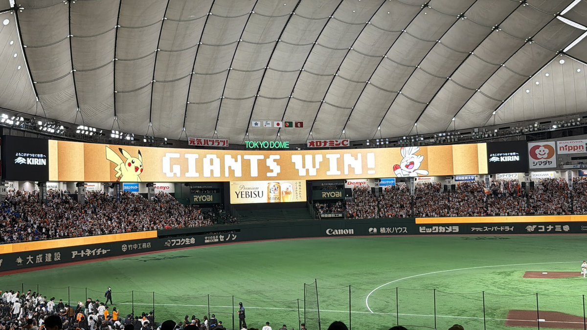 おいも🐰⚾️ tweet media