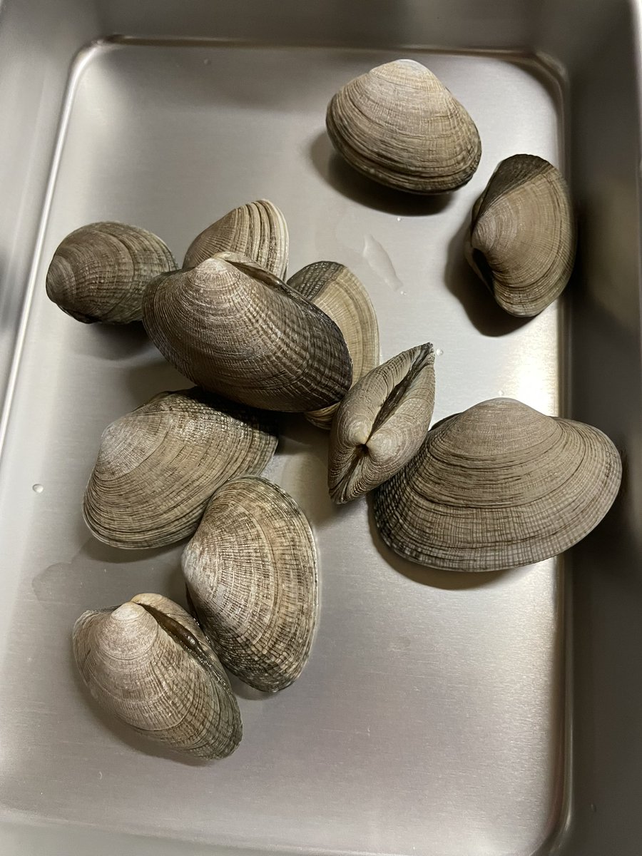 ニシカワ tweet media