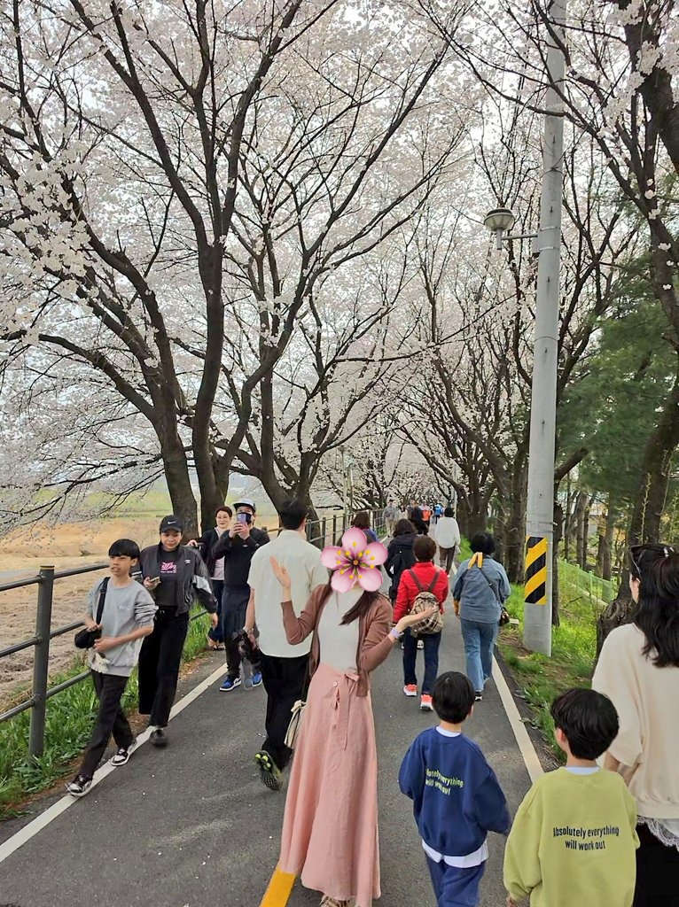 일상다반사 tweet media