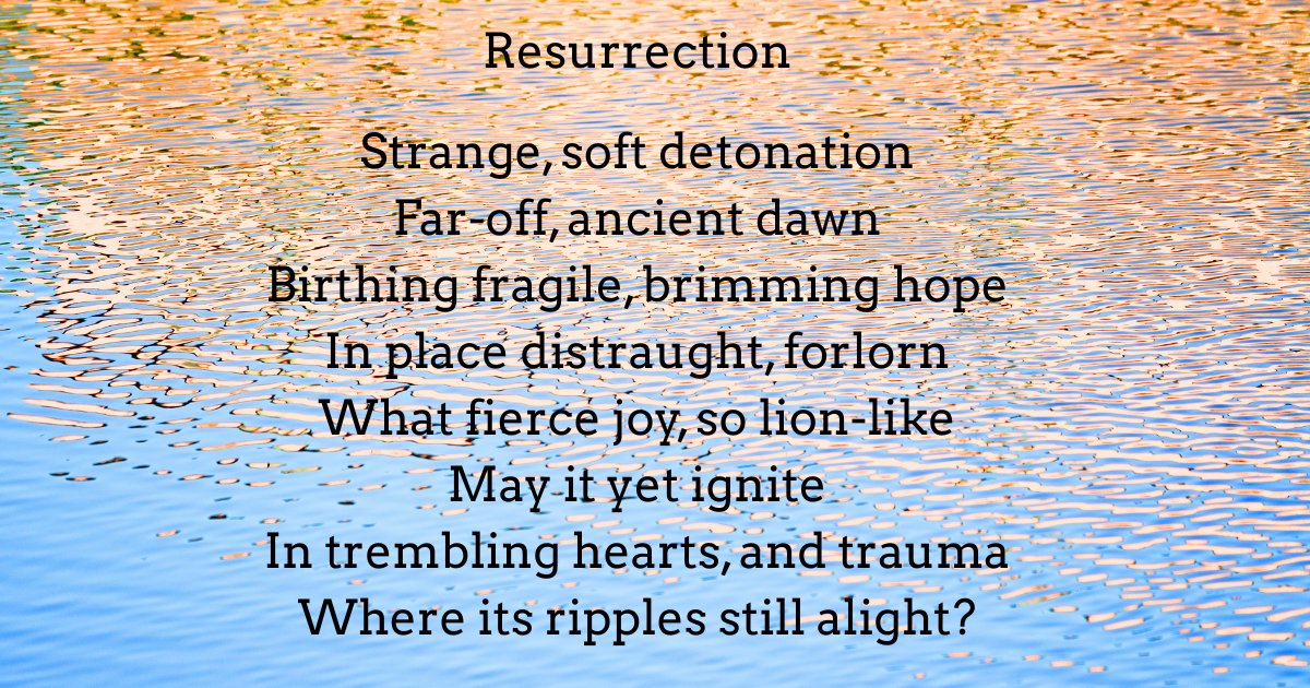 Bruce Gulland tweet media